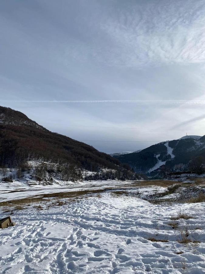 Cece's Mavrovo